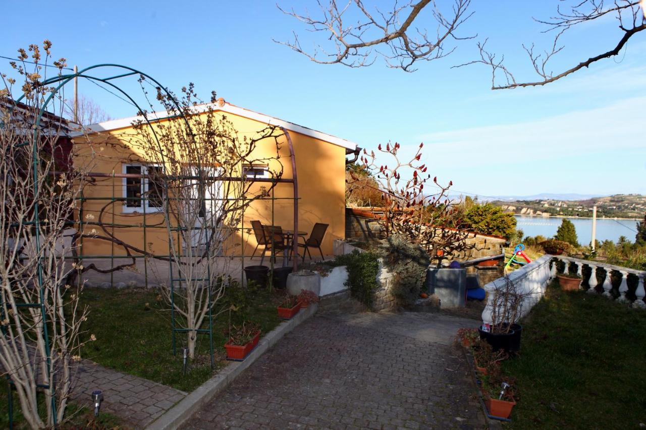 Sunny Terraces Zt *
